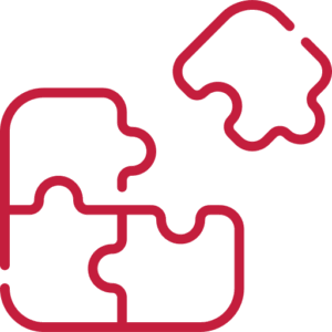 gender consultant network
